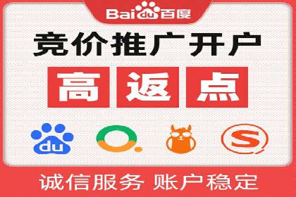百度广告推广助力电商行业案例分析