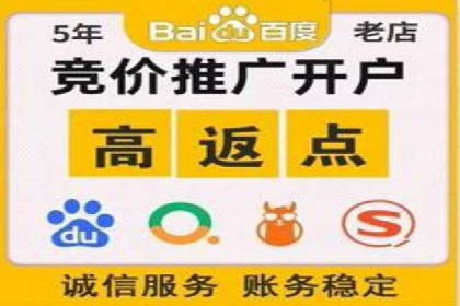 百度优化推广全解析：从零到一的流量增长